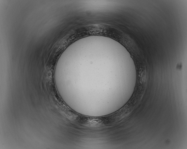 X0000111510753200907281314