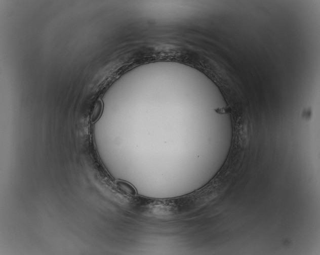 X0000111510756200907281314