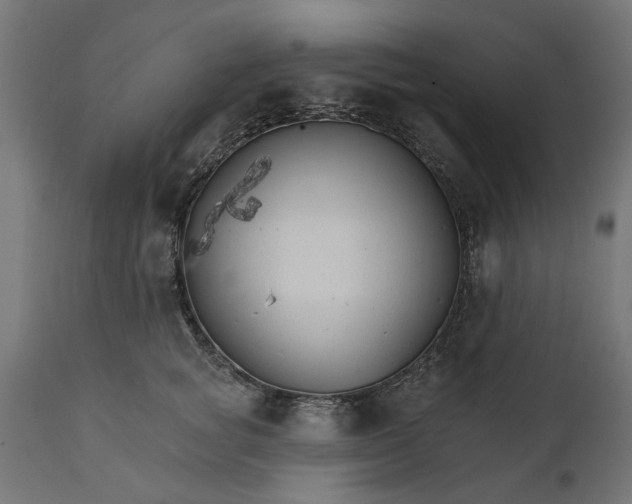 X0000111510757200907281314
