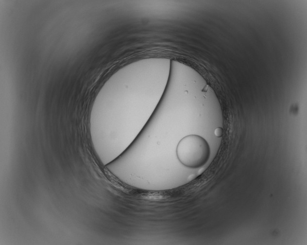X0000111510759200907281314
