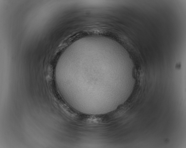 X0000111510760200907281314