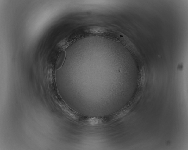 X0000111510762200907281314