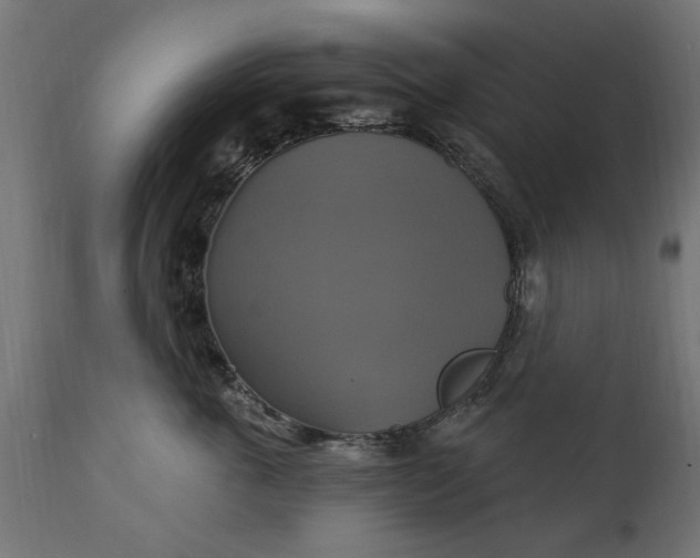 X0000111510763200907281314