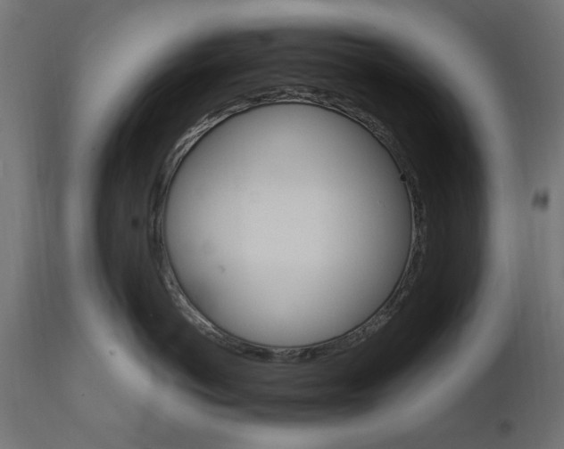 X0000111510766200907281314