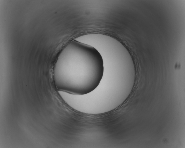 X0000111510768200907281314
