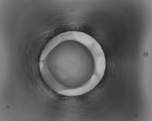 X0000111510769200907281313