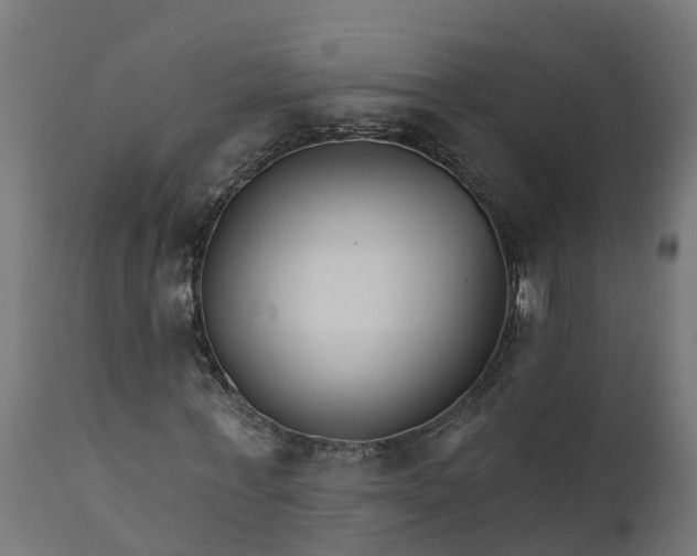 X0000111510771200907281313