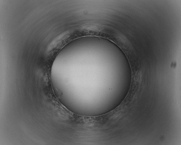 X0000111510774200907281313