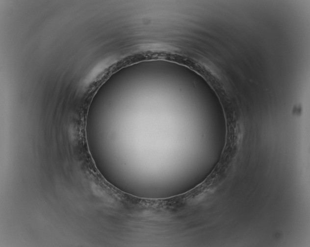 X0000111510775200907281313