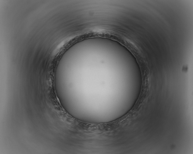 X0000111510776200907281313