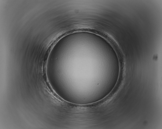 X0000111510777200907281313