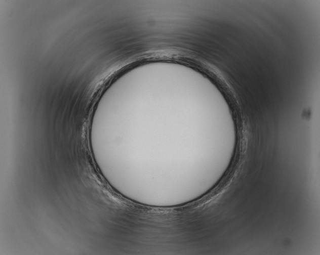 X0000111510778200907281313