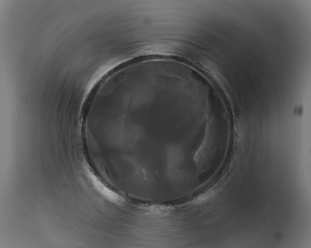 X0000111510779200907281313