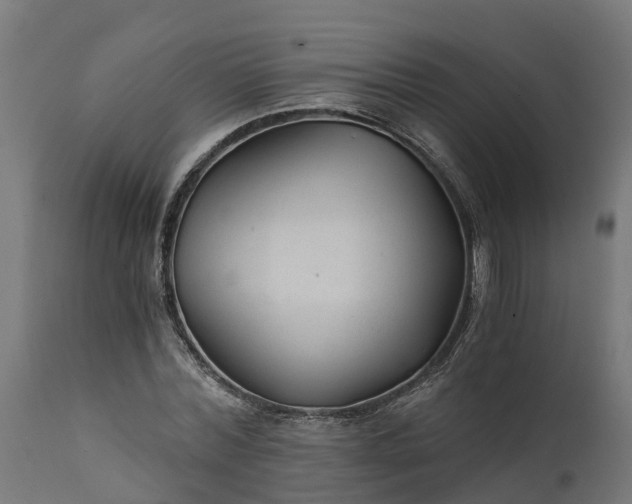 X0000111510780200907281313