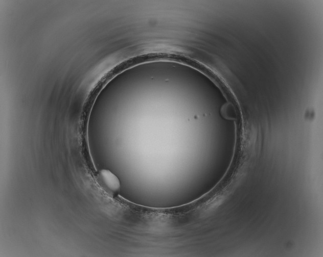 X0000111510783200907281313