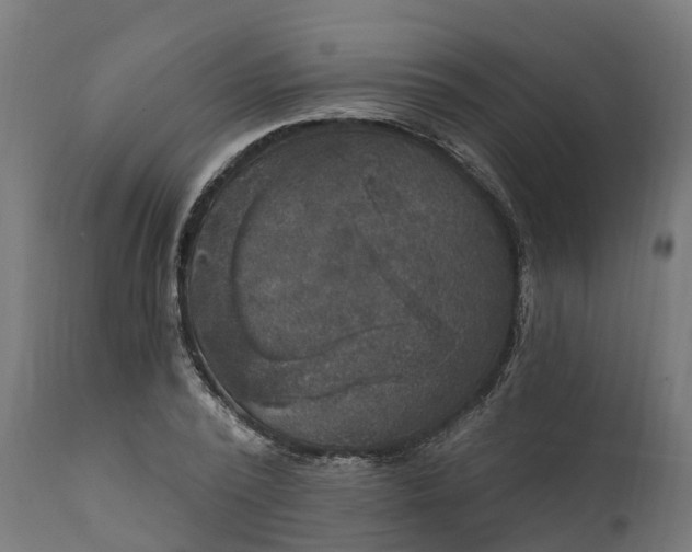 X0000111510784200907281313