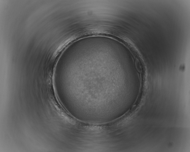 X0000111510785200907281313