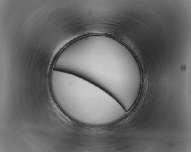 X0000111510787200907281313