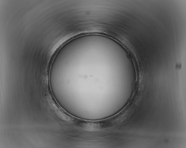 X0000111510789200907281313