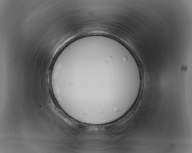 X0000111510790200907281313