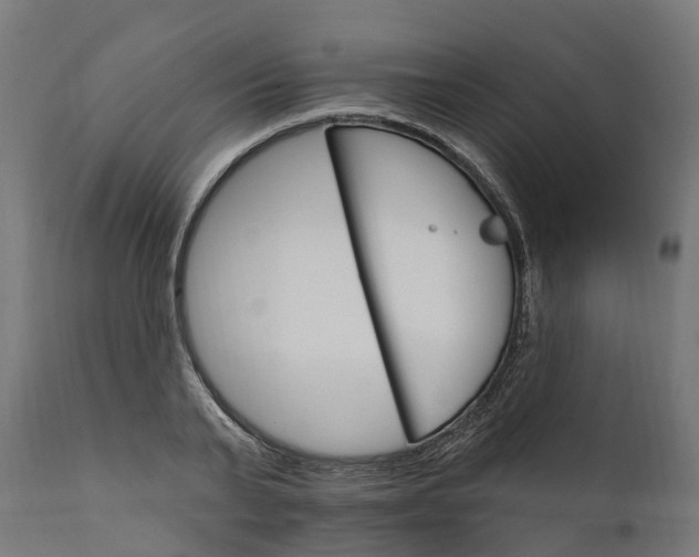 X0000111510791200907281313
