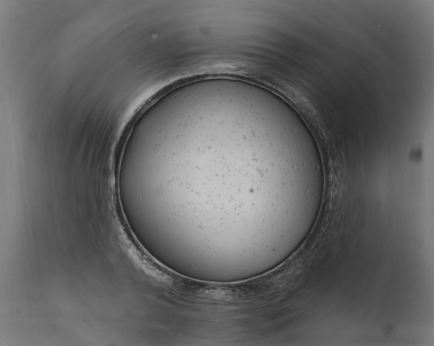 X0000111510792200907281313