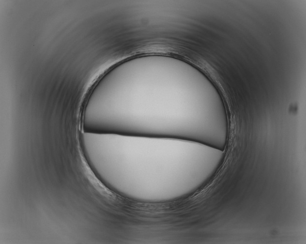 X0000111510795200907281313
