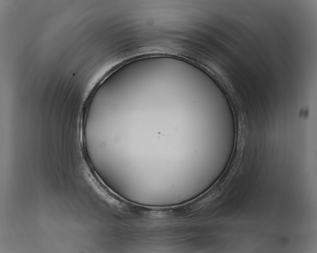 X0000111510796200907281313
