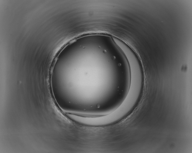 X0000111510797200907281313