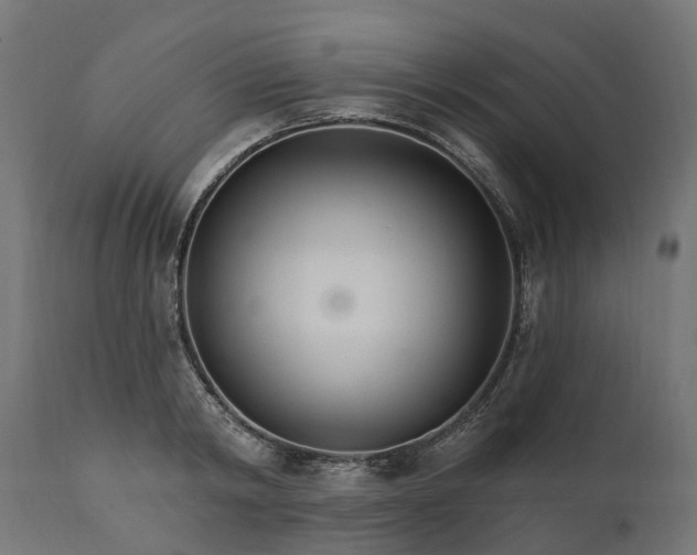 X0000111510798200907281313