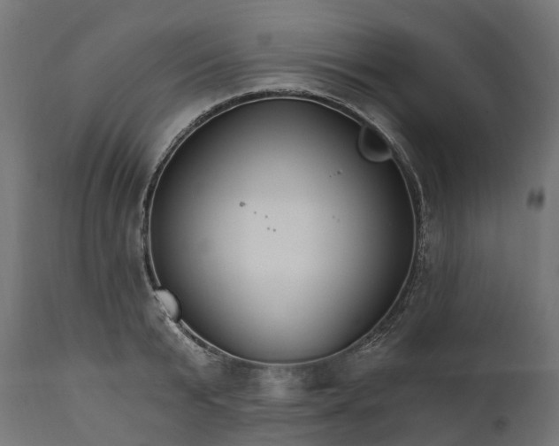 X0000111510799200907281313