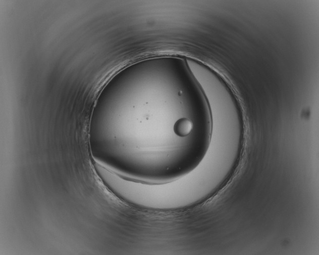 X0000111510801200907281313