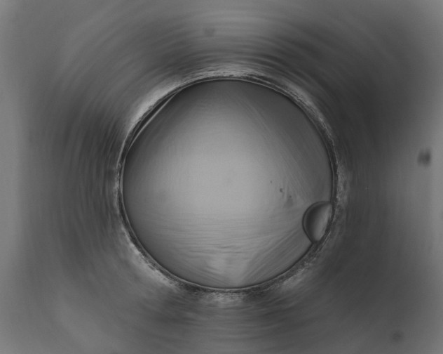 X0000111510802200907281313