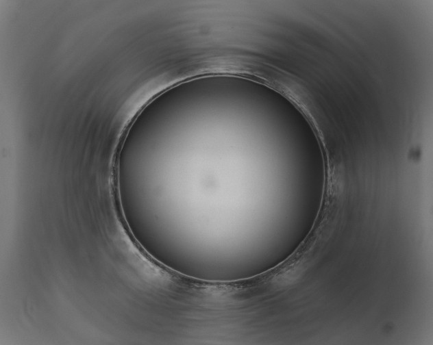 X0000111510803200907281313