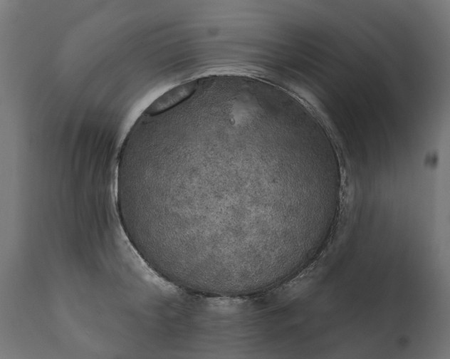 X0000111510804200907281313