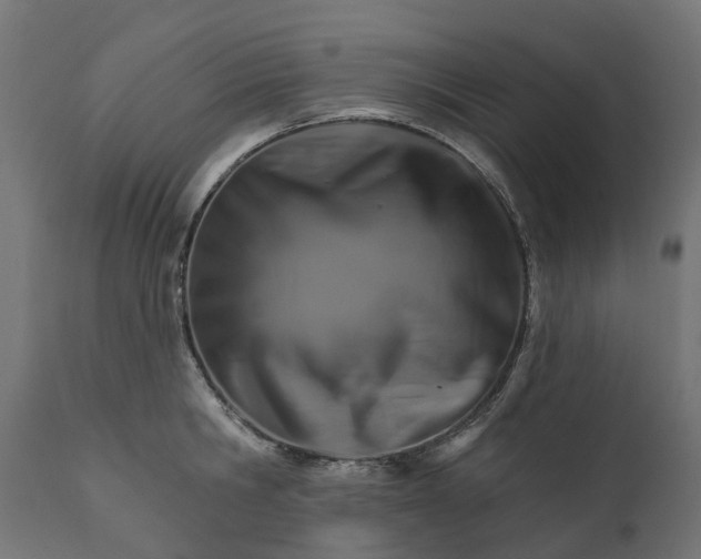 X0000111510806200907281313