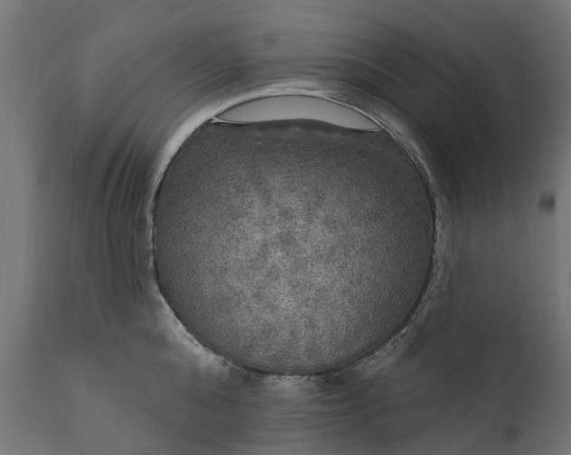 X0000111510808200907281313