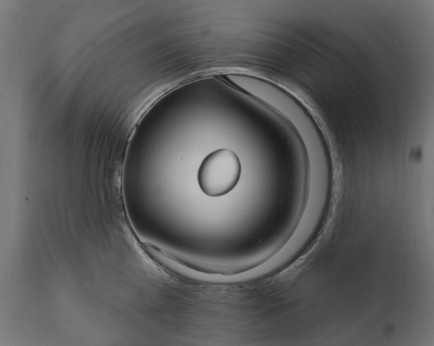 X0000111510809200907281313