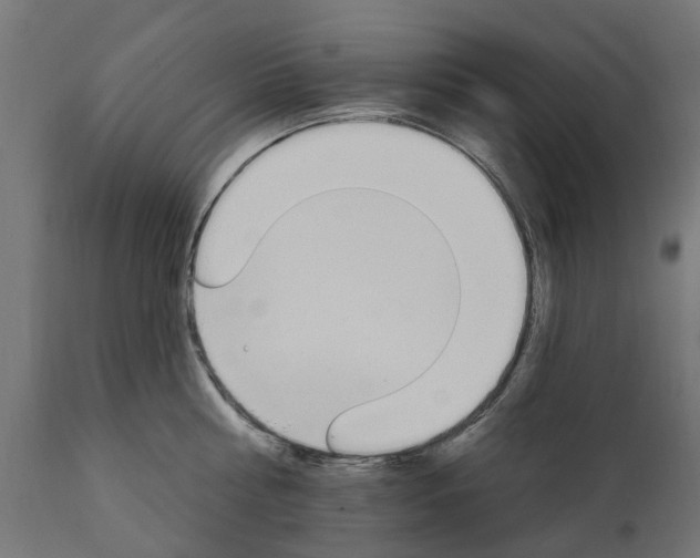 X0000111510810200907281313