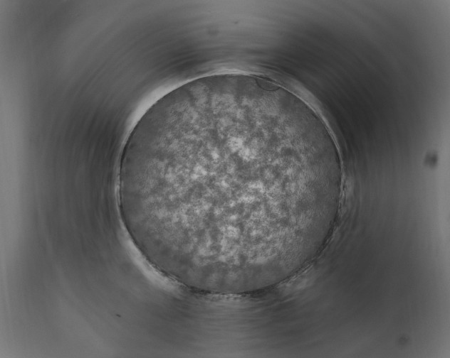 X0000111510811200907281313