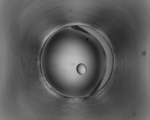 X0000111510813200907281313
