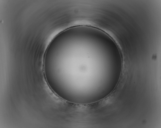 X0000111510815200907281313
