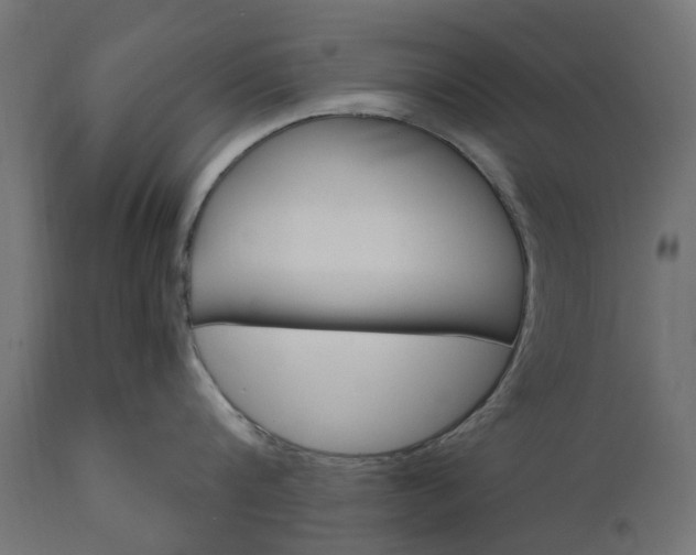 X0000111510816200907281313