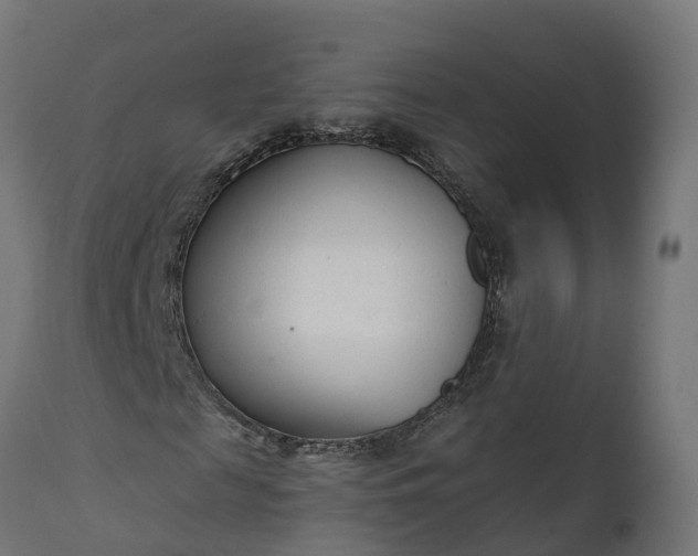 X0000111510817200907281312