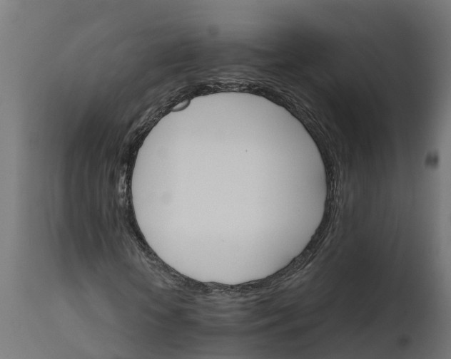 X0000111510818200907281312