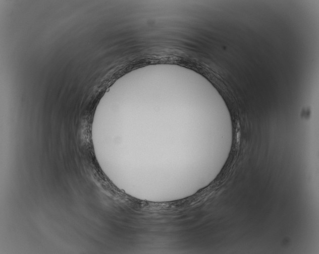 X0000111510819200907281312
