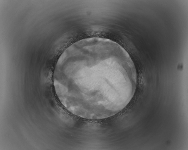X0000111510820200907281312