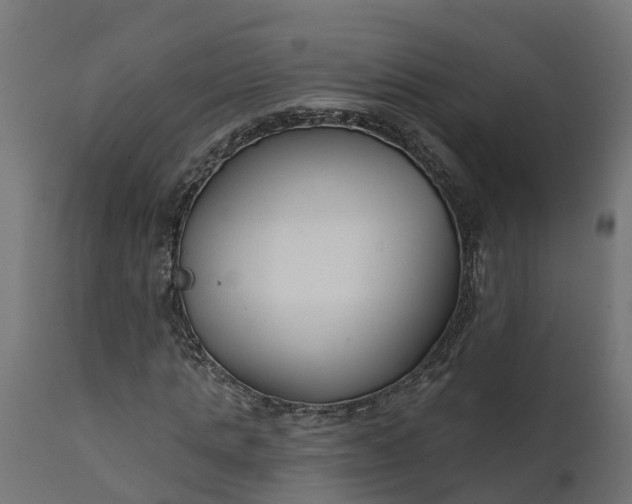X0000111510821200907281312