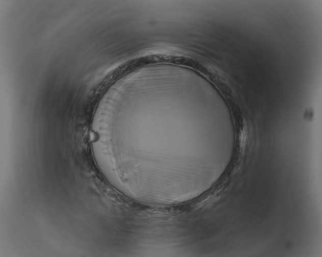 X0000111510822200907281312