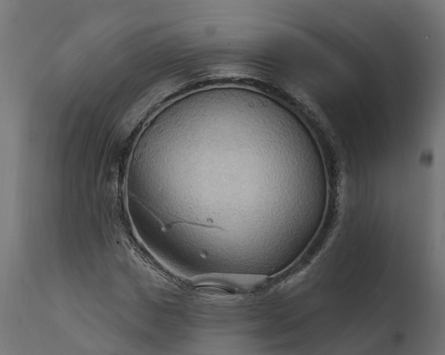 X0000111510825200907281312